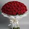 Букет 101 Красная роза Блэк Мэджик в Румянцево