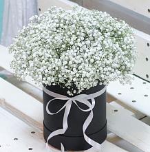 Цветочная композиция из Гипсофила в шляпной коробке #REPLACE_PRED# Румянцево